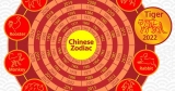 Luck of the 12 zodiac signs: Pig, Goat and Snake to be the luckiest this year